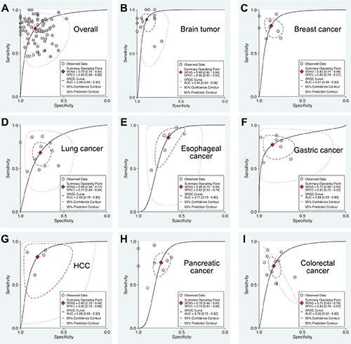 Summary ROC curve of extracellular miR-21 diagnostic