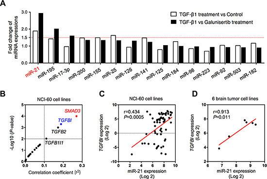 Association between miR-21 and TGF-&#x03B2; signaling pathway.