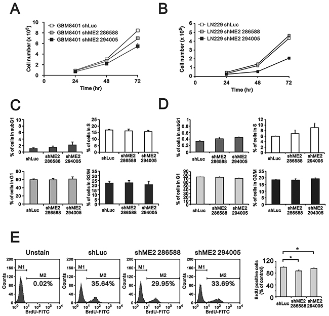 The effects of ME2 on cell proliferation and cell cycle profile in human glioma cell lines.