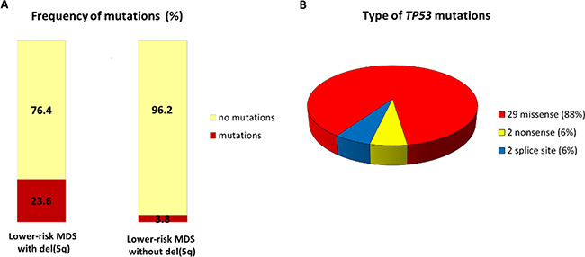 Distribution of TP53 somatic mutations in lower-risk MDS patients.