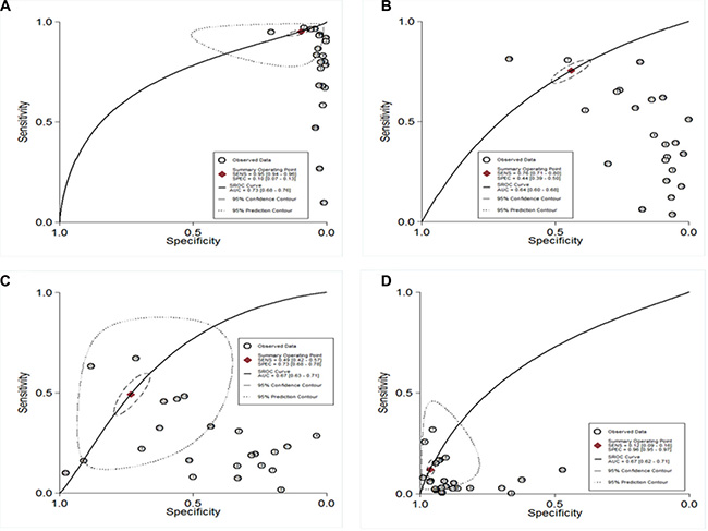 SROC curve of diagnostic meta-analysis.