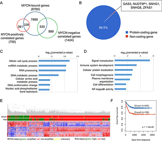 Systematic analysis of MYCN-regulated genes.