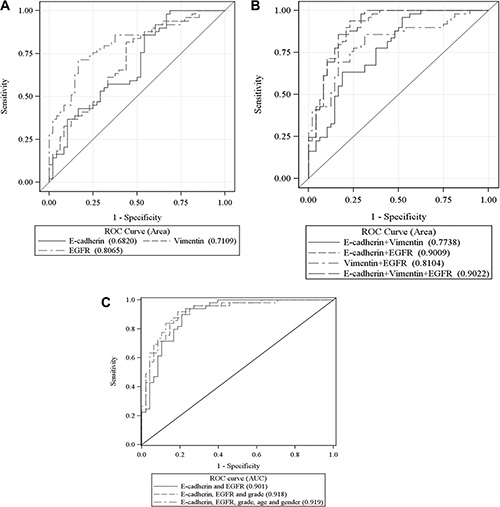 ROC curves for each of the 3 biomarkers (A), combined biomarkers (B), and combined biomarkers and forced age, gender and grade (C) with AUC for prediction of patient&#x2019;s metastasis status.