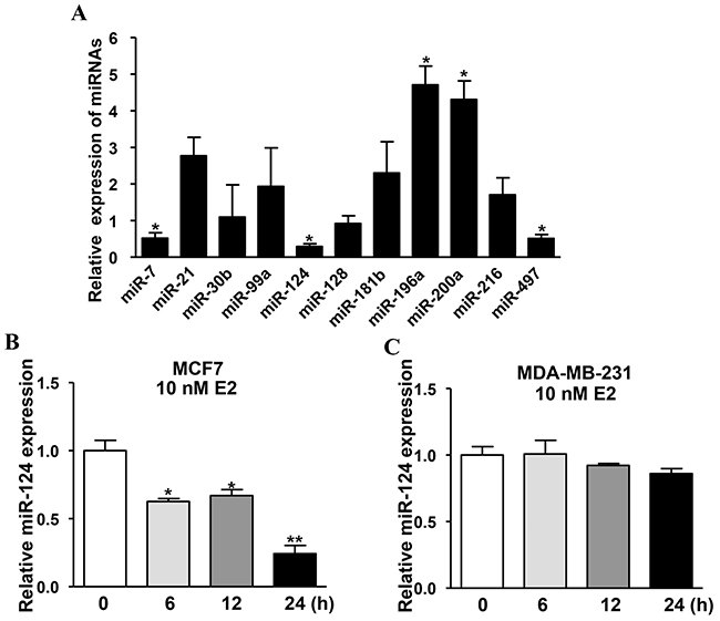 Estradiol (E2) mediates levels of certain miRNAs, and miR-124 is the most prominently downregulated miRNA which is inhibited by E2 treatment in estrogen receptor (ER) positive BC cells.