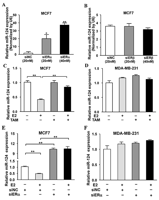 ER&#x03B1;, but not ER&#x03B2;, was required for E2-suppressed miR-124 expression.