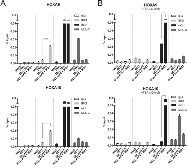 Chromatin-IP experiments to functionally investigate the IRX/MLL-AF4 interaction at MLL-AF4 target promotors.