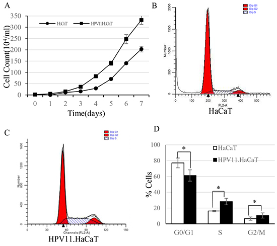 The cell growth curves and FACS analysis of HaCaT and HPV11.HaCaT cells.