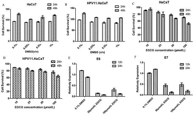 The anti-HPV effect of EGCG in HPV11.HaCaT cells.