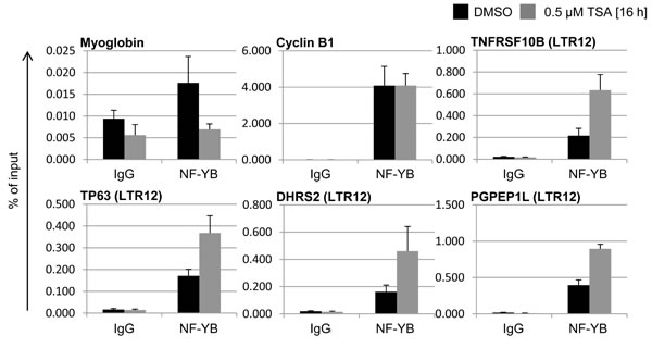 Increased binding of NF-YB to LTR12s after treatment with TSA.