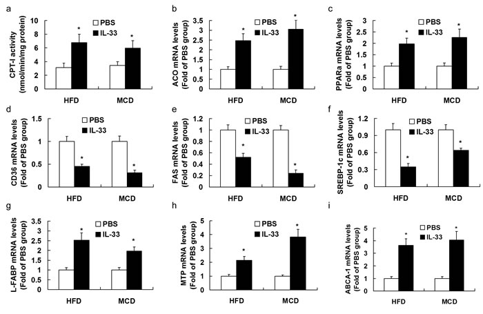 Mice were exposed to HFD or MCD, and treated with recombinant IL-33 or PBS.