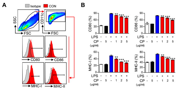 Cisplatin impaired the phenotypic maturation of LPS-activated DCs by down-regulating