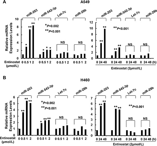 Entinostat selectively increases the expression levels of miR-203 and miR-542-3p in A549 and H460 cells.