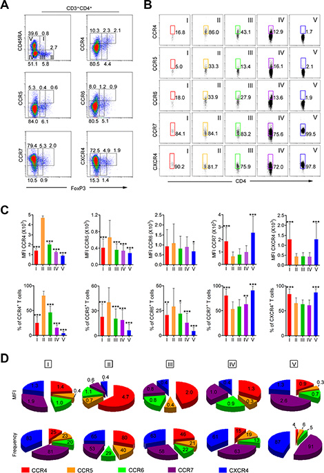 CCR4 is predominantly expressed on aTreg cells in HNSCC patients.