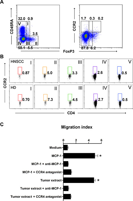 MCP-1/CCR4 signaling promotes aTreg cell migration.