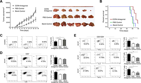 A CCR4 antagonist blocks aTreg cell trafficking in tumors leading to enhanced antitumor immune responses and prolonged survival.