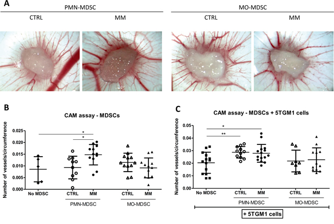 Effects of MDSC subpopulations on angiogenesis in gelatin-sponge CAM assays.