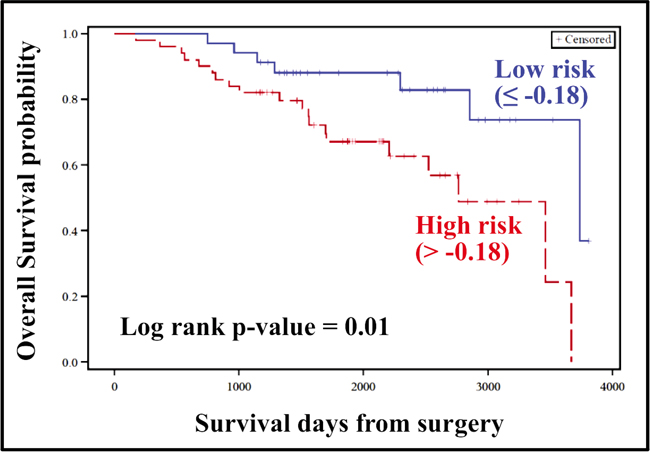 Kaplan&#x2013;Meier plot for constructed risk score (External validation/TCGA dataset).