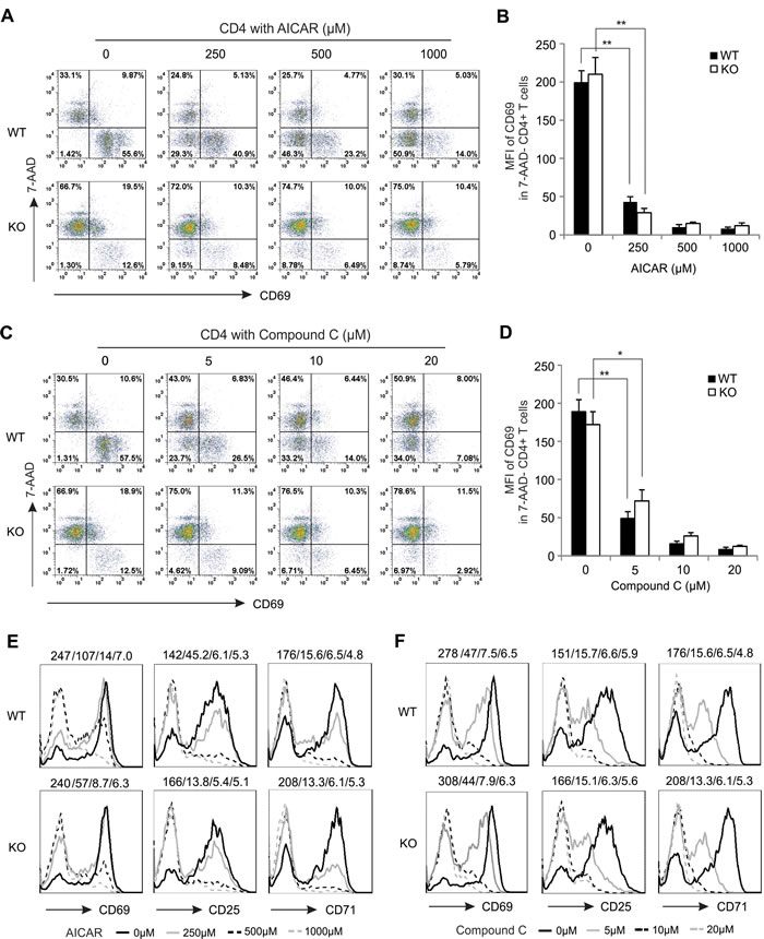 AICAR and Compound C suppress T cell activation in an AMPK-independent manner.