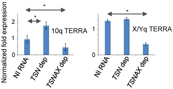 Human Translin and Trax influence TERRA levels differentially for distinct telomeres.