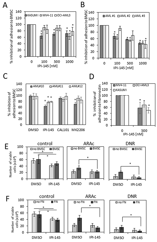 IPI-145 inhibits adhesion of AML blasts to primary BMSC.