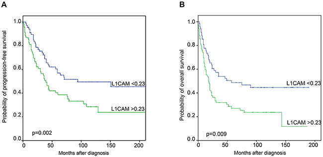 Kaplan Meier survival analysis and L1CAM mRNA expression.