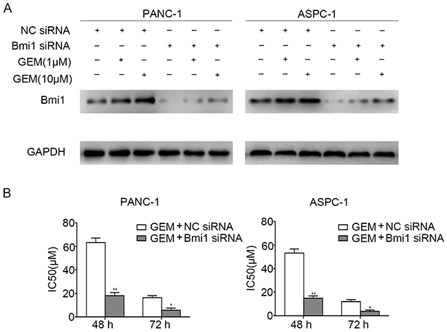 Bmi1 facilitates the chemoresistance of pancreatic cancer cells to gemcitabine.
