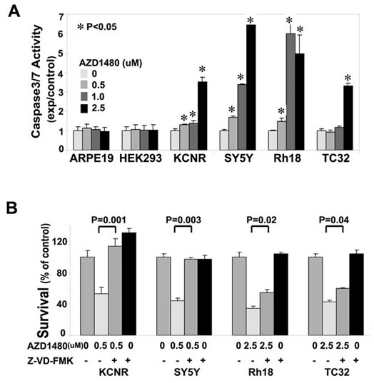 AZD1480 induced caspase3/7-dependent apoptosis.