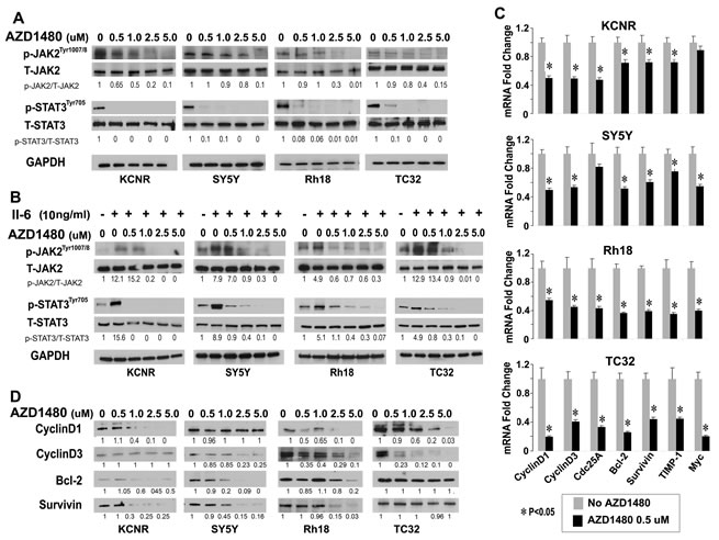 Inhibition of JAK/STAT3 signaling by AZD1480 in pediatric cells