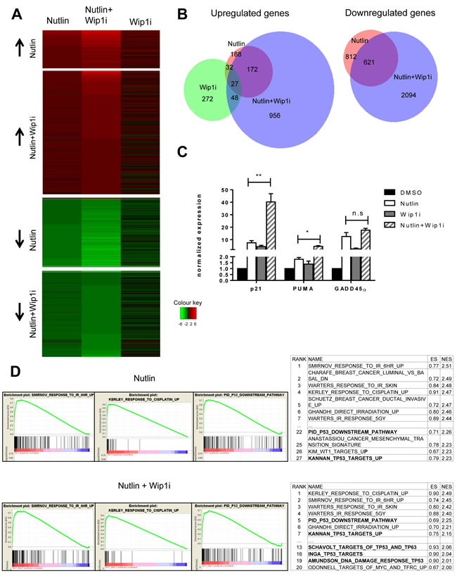 Broadened p53 response upon combined drug treatment, but not upon Wip1 inhibition alone.