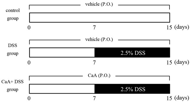 Schematic diagram of the experimental study design.