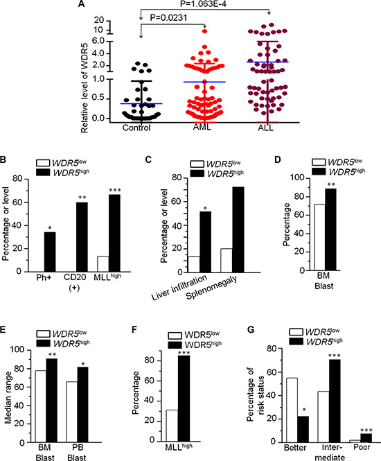 WDR5 expression in AML and ALL and its correlation with clinical features.