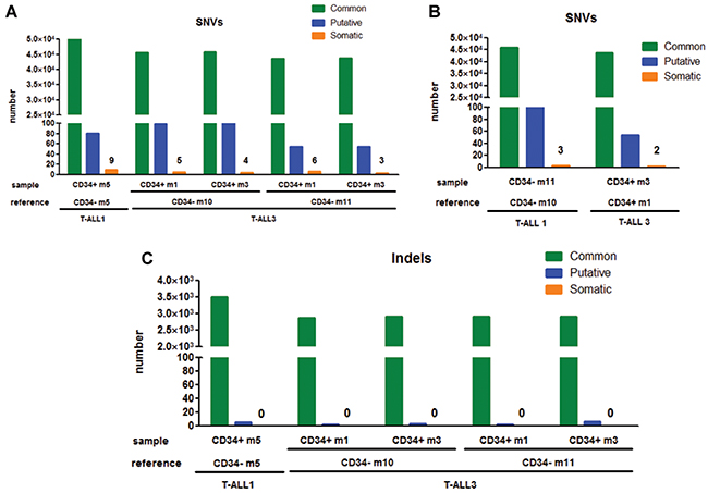 Comparative analyses of genomic alterations identified in CD7&#x002B;/CD34&#x002B; vs CD7&#x002B;/CD34&#x2212; derived xenograft leukemia.
