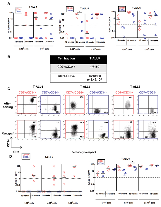 CD7&#x002B;/CD34&#x002B; and CD7&#x002B;/CD34&#x2212; cell fractions from slow growing T-ALL samples generate leukemia with distinct kinetics and phenotypes.
