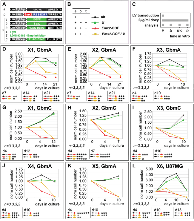 Rescue of Emx2 antioncogenic activity via modulation of its presumptive mediators.