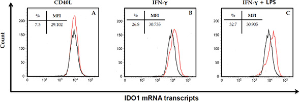 Detection of IDO1 mRNA transcripts in mature dendritic cells.
