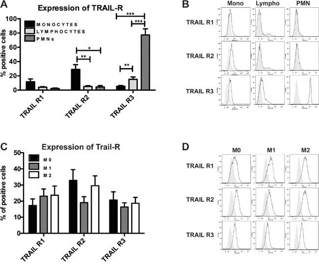 Human monocytes and macrophages express functional TRAIL receptors.