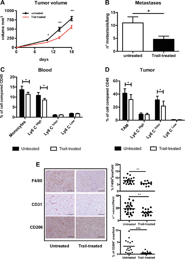 In vivo effects of TRAIL treatment on TAM and tumor growth.