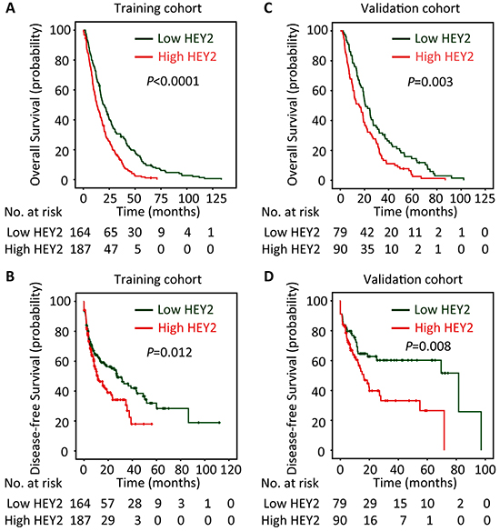 High HEY2 expression is correlated to poor prognosis of patients with HCC.