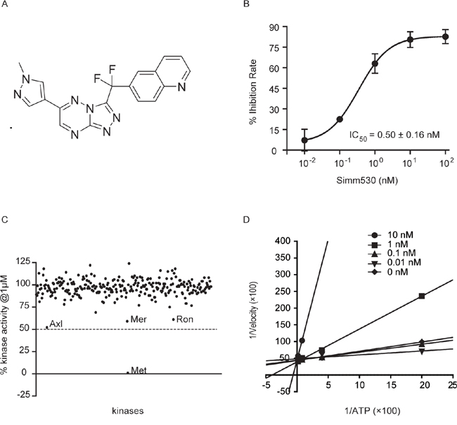 Simm530 is a potent, highly selective and ATP-competitive inhibitor of c-Met.