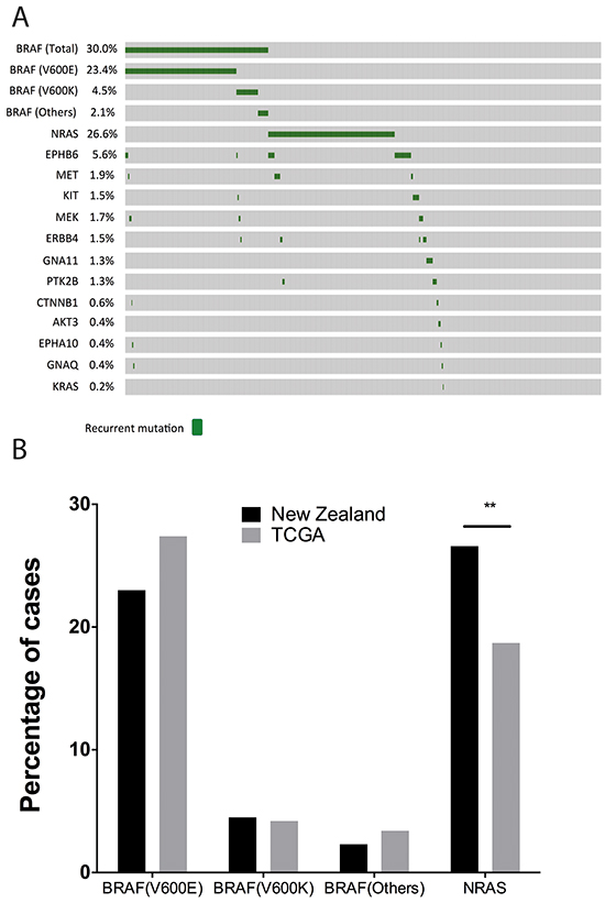 Overview of the mutational landscape in New Zealand population.