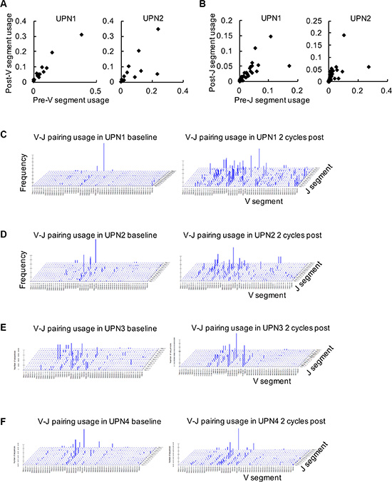 Global analysis of V&#x03B2;-J&#x03B2; gene segment combinations.