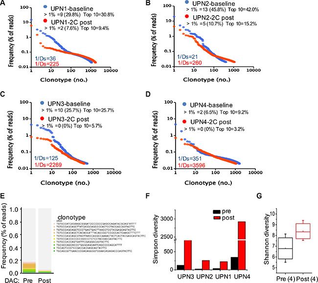 Low-dose decitabine increased TCR diversity in PBMCs.