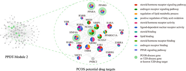 PPDT-module 2 and PCOS potential drug targets.