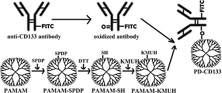 Preparation of a monoclonal antibody targeting nanoparticle.