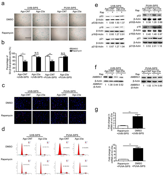 Overexpression