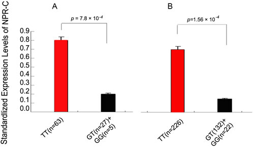 Association of the risk allele G of rs700926 with decreased expression of NPR-C mRNA assuming a dominant model.