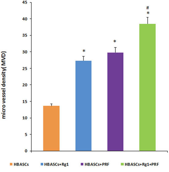 Micro vessel density (MVD) in the neogenetic tissue.