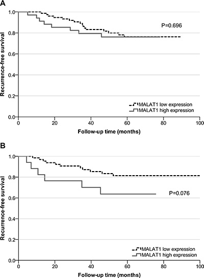 Survival analysis in breast cancer patients based on MALAT1 expression.
