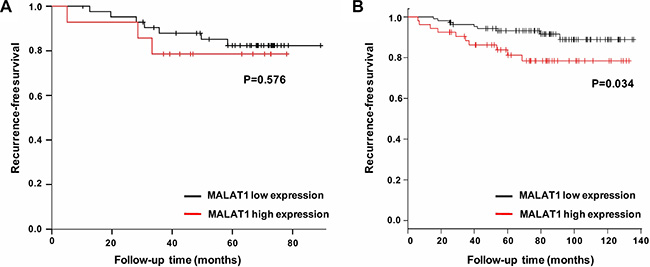 Survival analysis in tamoxifen treated ER-positive breast cancer patients based on MALAT1 expression.
