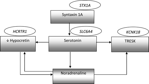 Interactions between mentioned molecules involved in migraine pathomechanism.